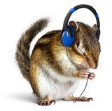 Funny chipmunk listening to music on headphones  Zwierzęta Obraz
