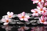Set of frangipani with zen stones  Obrazy do Salonu SPA Obraz