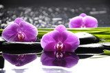 Spa still life with set of pink orchid and stones reflection  Obrazy do Salonu SPA Obraz