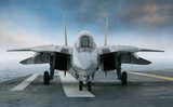 F-14 jet fighter on an aircraft carrier deck viewed from front  Pojazdy Fototapeta