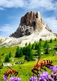 Dolomiti Italia - Passo Giau  Krajobrazy Obraz
