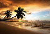 sunset on the beach of caribbean sea  Krajobrazy Obraz