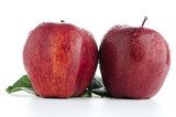 Ripe red apples  Obrazy do Kuchni  Obraz