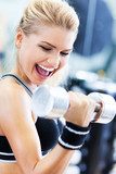 Woman in gym exercising with dumbbells  Fototapety do Klubu Fitness Fototapeta