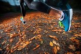 young woman running in the early evening autumn leaves  Fototapety do Klubu Fitness Fototapeta