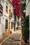 Narrow street in Lindos.Rhodes island, Greece  Fototapety Uliczki Fototapeta