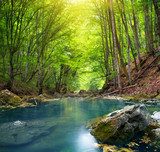 River in mountain forest.  Las Fototapeta