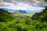 Rainforest of Khao Sok National Park in Thailand  Las Fototapeta