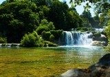 Krka Waterfalls  Las Fototapeta