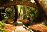 Mystical Park. Old Trees and Ancient Stone Bridge. Pathway  Las Fototapeta