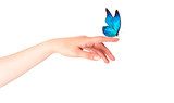 butterfly on woman's hand. In motion  Motyle Fototapeta