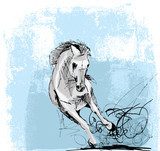 Sketch of white horse running  Drawn Sketch Fototapeta