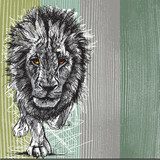 Sketch of a big male African lion  Drawn Sketch Fototapeta