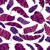 A egzotycznych, żywych fioletowych liści banana. Tapety Do salonu Tapeta
