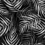 Akwarela, monochromatyczny. Akwarela liść palmowy. Tapety Natura Tapeta