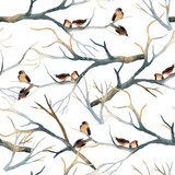 Akwarela ptaków na gałęzi drzewa Styl Skandynawski Tapeta