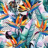 Akwarela tropikalna z kwiatem rajskiego ptaka. Tapety Kwiaty Tapeta