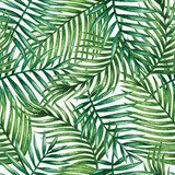 Akwarela tropikalnych liści palmowych. ilustracja. Tapety Do jadalni Tapeta
