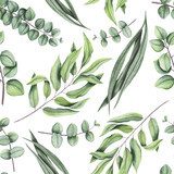 akwarela zielonych liści i eukaliptusa Tapety Natura Tapeta