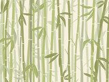 Bamboo forest Fototapety do Łazienki Fototapeta