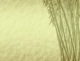 Bambus – papeteria w stylu retro
 Fototapety do Łazienki Fototapeta