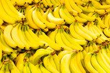 Bananowy raj - słoneczna wyspa Owoce Obraz