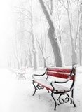 Biała zima, czerwony kontrast
 Fototapety do Salonu Fototapeta