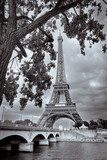 Eiffel tower view from Seine river square format Fototapety Wieża Eiffla Fototapeta