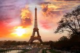 Eiffel Tower with park in Paris, France Fototapety Wieża Eiffla Fototapeta