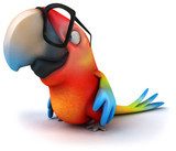 Śmieszna papuga - eksplozja kolorów Plakaty do Pokoju dziecka Plakat
