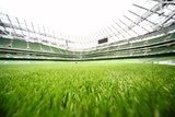 green-cut grass in large stadium at summer day  Stadion Fototapeta