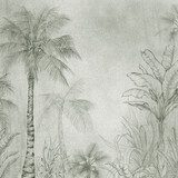 Hand-drawn tropical palm trees and foliage in a pencil sketch style. Botanical jungle illustration with vintage and natural aesthetic, ideal for prints, posters, and interior decor. Fototapety do Salonu Fototapeta