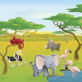 Kolorowe safari – przyjazna Afryka
 Fototapety do Pokoju Dziecka Fototapeta
