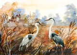Kolorowy świat ptactwa Zwierzęta Obraz