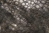 Krokodyla skóra – ścienna interpretacja
 Tekstury Fototapeta