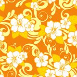 kwiat hibiskusa- wersja pomarańczy na ścianie
 Rysunki kwiatów Fototapeta