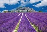 Lavande en Provence, village provenÃ§al en France Prowansja Fototapeta