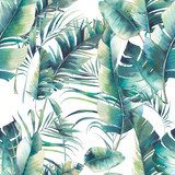 Letnie palmy i liście bananowca. Akwareli tekstura z Tapety Natura Tapeta