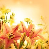 Lilie w ciepłych kolorach lata Kwiaty Fototapeta