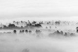 Minimalistyczne piękno mgieł Styl skandynawski Fototapeta