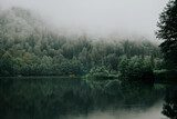 Jezioro wśród drzew i mgły Fototapety do Biura Fototapeta