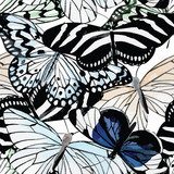 motyle czarno-białe akwarela Tapety Zwierzęta Tapeta