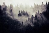 Mroczny las spowity we mgle Las Fototapeta