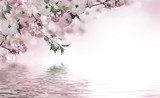 Orietntalnie - sakura nad wodą Kwiaty Fototapeta