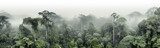 panorama of the rainforest tree tops in the fog. Generative AI Fototapety do Łazienki Fototapeta