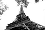 Paris Eiffel Tower Fototapety Wieża Eiffla Fototapeta
