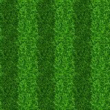 Pasiasta zielonej trawy pola tekstura. Trawy Tapety Sportowe Tapeta