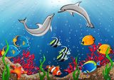 Podwodny świat delfinów – bajkowe tropiki
 Obrazy do Pokoju Dziecka Obraz