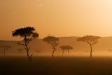 Poranek u Masajów
 Krajobraz Fototapeta