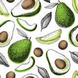 ręcznie rysowane zielone awokado. Tapety Owoce i Warzywa Tapeta